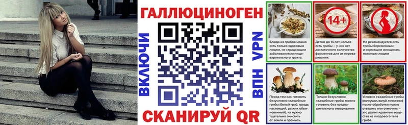 Псилоцибиновые грибы прущие грибы  Красный Сулин 
